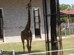 -石家庄市动物园