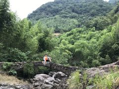 -夏霖九天银瀑风景区