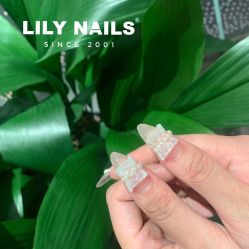 -LILY NAILS美甲美睫
