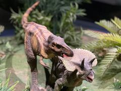-柳州白莲洞洞穴科学博物馆