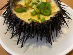 海胆蒸蛋-海胆小馆(春柳店)