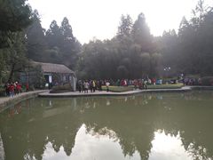-庐山风景区花径公园