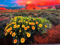 -罗红摄影艺术馆