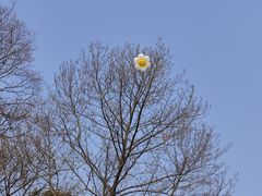 -钟山体育运动公园