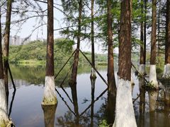 -重庆彩云湖湿地公园