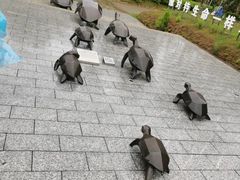 -广东惠东海龟国家级自然保护区