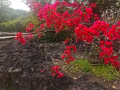 -海口火山口国家地质公园