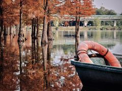 -白鹭湾湿地公园