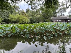 -成都杜甫草堂博物馆