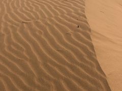 -亿利库布其七星湖沙漠生态旅游区