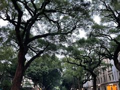 -星巴克臻选(广州沙面店)