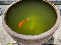 -聚春园驿馆(三坊七巷店)