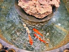 -福禧酒窖·中餐厅 (万柳店)