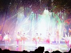 -勐巴拉娜西大剧院