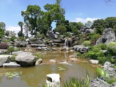 -东莞植物园