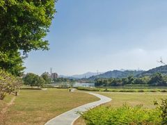 -风云岭森林公园