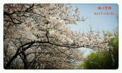 -晴川假日酒店·宴会厅·会议厅