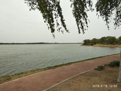 -丁香湖公园