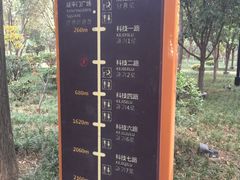 -唐城墙遗址公园
