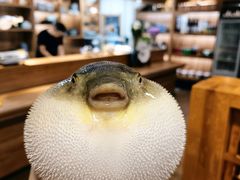 -天正河鲀·河豚亭(大连店)