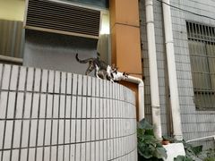 -利都新概念棋牌桌球(本溪路店)