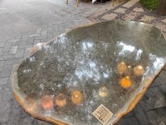-院8里·小聚园(九眼桥店)
