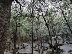 -泰山风景名胜区