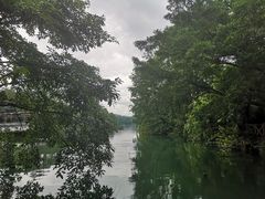 -广州市流溪河国家森林公园