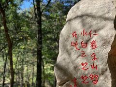 -洛阳白云山景区