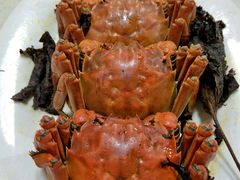 -老字号蛇口德记烧腊饭店·海鲜加工