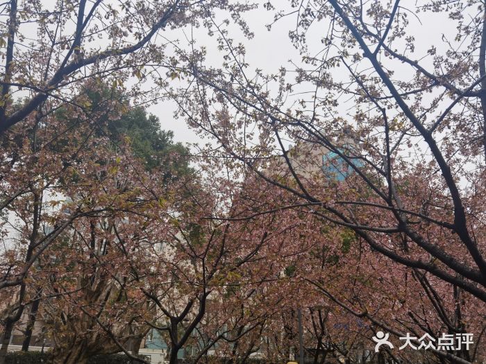 静安雕塑公园图片