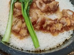 -龙鑫记清远脆皮鸡胡椒猪肚鸡