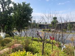-琅岐红光湖公园