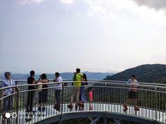 -呀诺达热带雨林