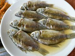 软骨鲫鱼-榕记(番禺总店)