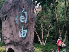 -重庆彩云湖湿地公园