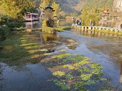 -靖西鹅泉风景区