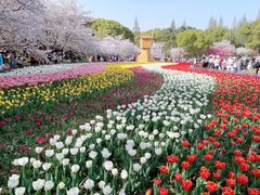 -苏州上方山国家森林公园