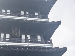 -宜兴龙背山森林公园