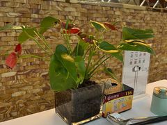 -红菜坊·烤鸭·川鲁宴(石园店)