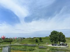 -空港花田景区