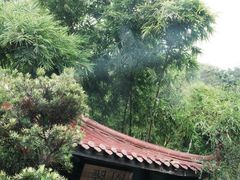 -翠园十八号庭院餐厅