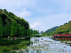 -广州市石门国家森林公园