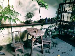 -植觉