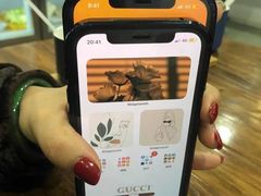 -Apple零售店(济南恒隆广场店)