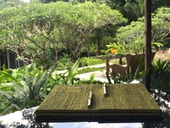 -四季酒店下午茶