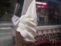 -富豪雪糕车流动点(尖沙咀店)