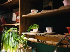 -樹下遇见树·咖啡