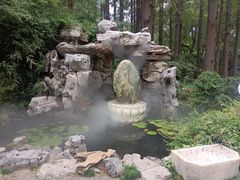 -上海醉白池公园
