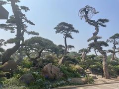 -罗红摄影艺术馆